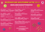 Ružinovské kultúrne leto: KONCERT SAMUELA TOMEČKA 