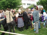 Stavanie maja
