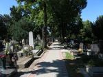 Cintorin Prievoz 
