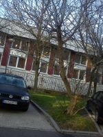 Obnova stromovej vegetácie na Polárnej ulici