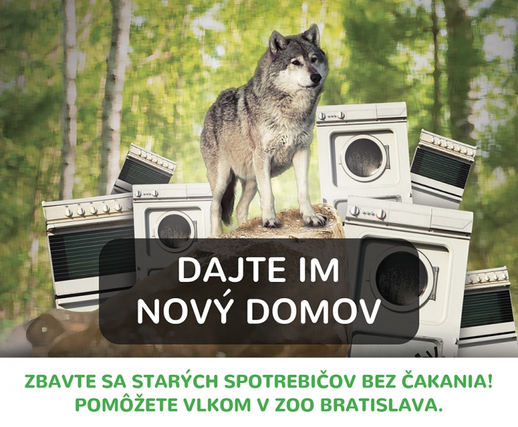 Zber starých spotrebičov