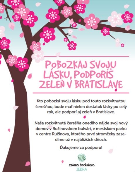 Pobozkajte 1. mája svoju lásku pod čerešňou 