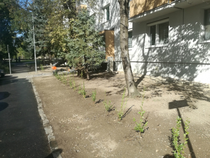 Výsadba a revitalizácia zelene Rumančeková 22-30