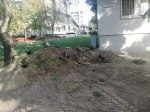 Výsadba a revitalizácia zelene Rumančeková 22-30