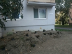 Výsadba a revitalizácia zelene Rumančeková 22-30