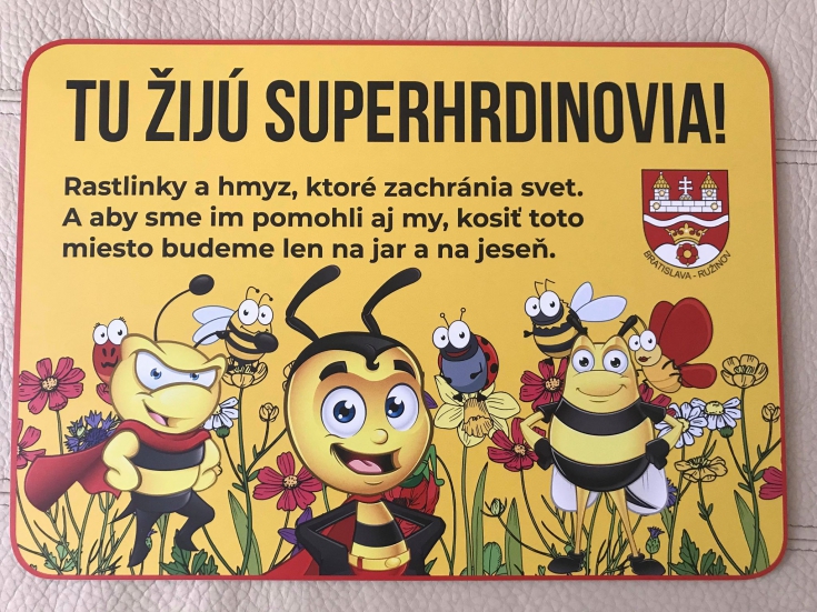 Lúčne plochy v Ružinove