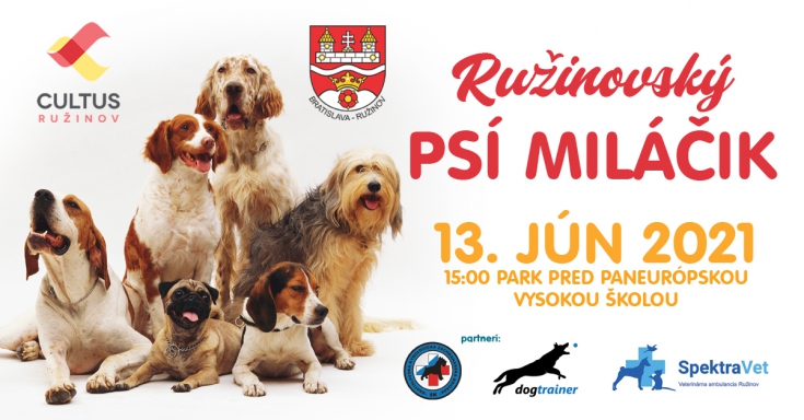 Hľadá sa psí miláčik z Ružinova