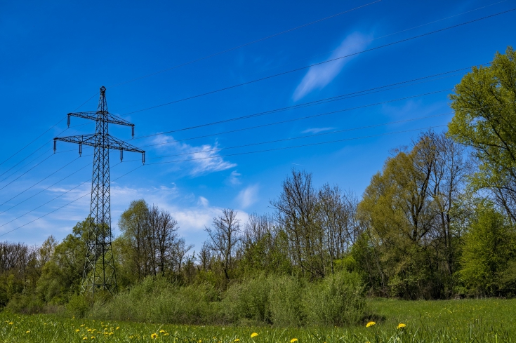 Výzva pre občanov na odstránenie porastov z okolia elektrických vedení