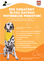 Čo znamená, keď má pes žltú šatku?