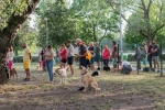 trkovci
