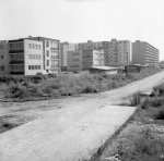 Trávniky:  Štvrť mala byť športovou lokalitou