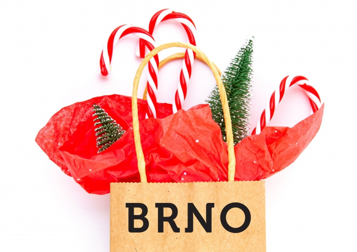 Výlet pre seniorov: Brno